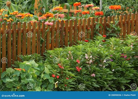 Vegetable Garden With Flowers Border Stock Photo - Image: 28890036