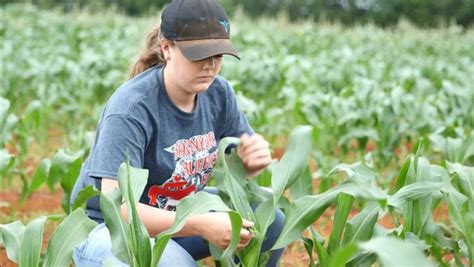 Tips to Establish Your SAE | National FFA Organization