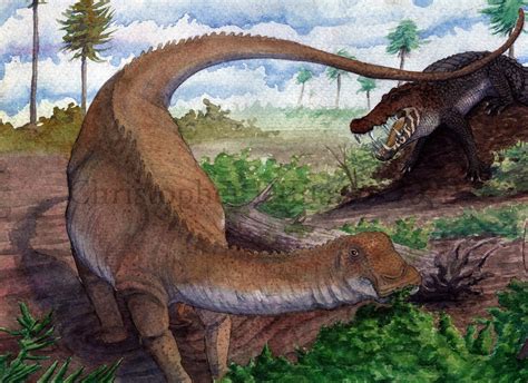 Prehistoric Beast of the Week: Nigersaurus: Beast of the Week