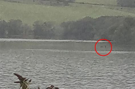 Is this the Loch Ness Monster? ‘Clearest evidence’ yet captured by ...