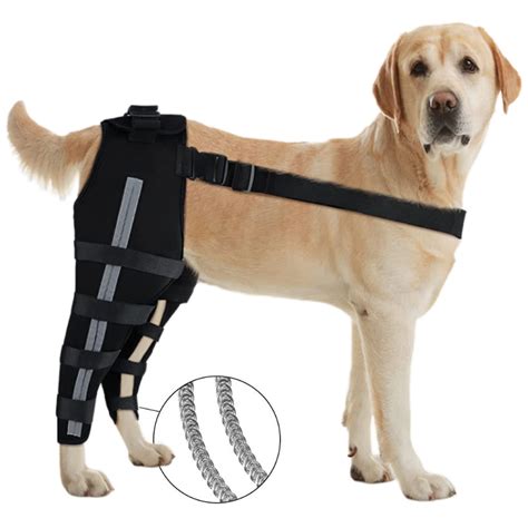 Best Dog Brace For ACL Tear & Dog Cruciate Ligament For Sale | LOVEPLUSPET