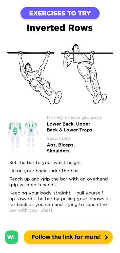 Inverted Rows / Reverse Pull-ups – WorkoutLabs Exercise Guide