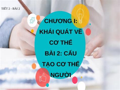 Bài 2. Cấu tạo cơ thể người - Sinh học 8 - Trần Thị Thơm - Thư viện Bài giảng điện tử