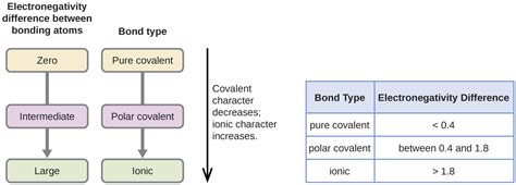 Covalent Bonding – Introductory Chemistry