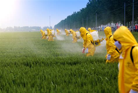 Quantitative Monitoring of Pesticides in Food: How Much Is Too Much?