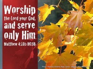 Strengthened to Serve