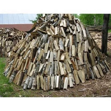 Brown Split Fire Wood for Home at Rs 500/quintal in Rewari | ID: 15611863330