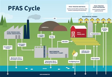 The hidden cost of ‘forever chemicals’ | AGCS