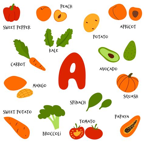 Collection of hand draw fruit and veggies rich in vitamin A. Vector ...