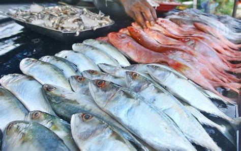 Chemical-laced fish sale on rise in Kerala, adulterated fish in Kerala