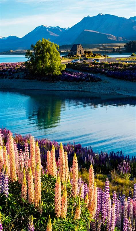 new zealand | Faraway Places..... in 2019 | Beautiful places, Nature ...