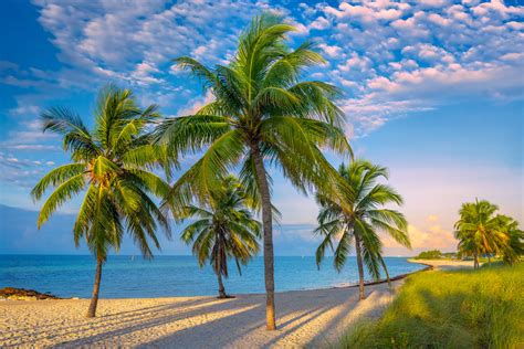 Palm Trees And Shadows On A Beach In Key West Fine Art Print | Photos by Joseph C. Filer