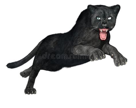 Black Panther Animal Hunting