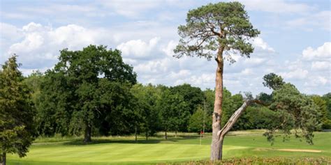 Dyrham Park Golf and Country Club - Reviews, Scorecards, Information