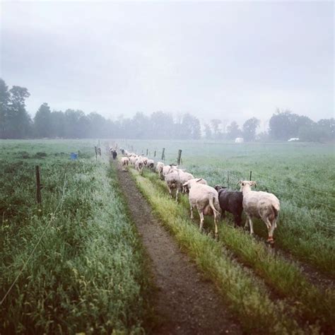 Farm Happenings for June 4th - Farm Happenings at Daybreak Growers ...