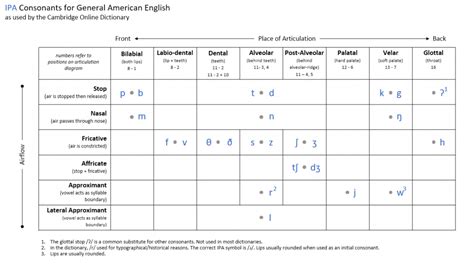 IPA Chart for American English Consonants - Thinking as Art