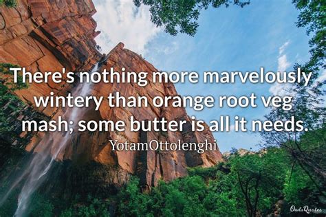 25 Interesting Orange Quotes