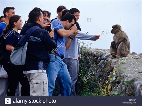 Man and beast hi-res stock photography and images - Alamy