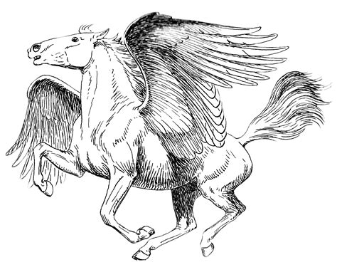 Pegasus Clipart Black And White