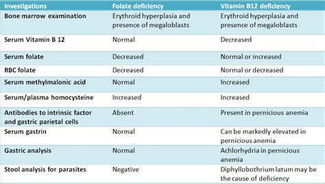 Laboratory investigations to diagnose megaloblastic anemia – Histopathology.guru