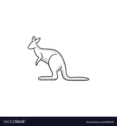 Kangaroo sketch icon Royalty Free Vector Image