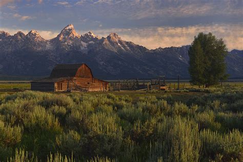 Mormon Row Sunrise Photograph by Ovidiu Moise - Fine Art America