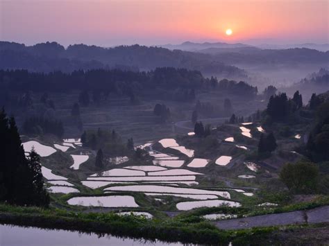 5 Most Beautiful Rice Field Terraces in Japan - Japan Web Magazine