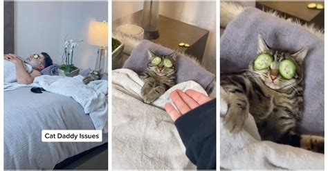 This Cat Spa Day TikTok Video Is the Ultimate in Pet Bonding