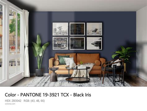 About PANTONE 19-3921 TCX - Black Iris Color - Color codes, similar ...