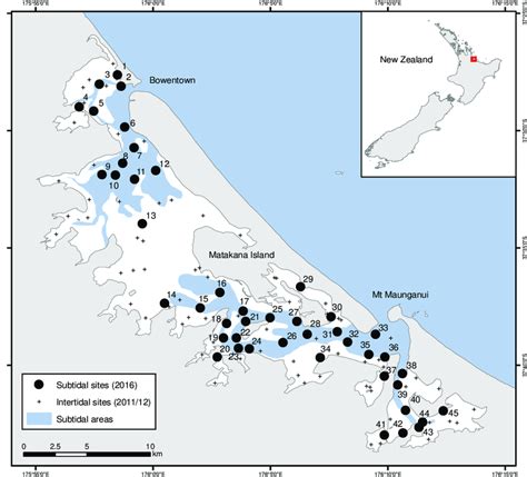 Map of Tauranga Harbour showing the location of the 45 subtidal sites ...