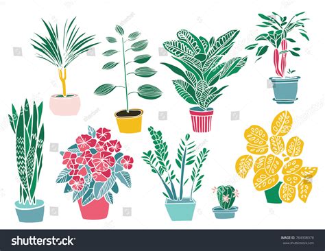 Decoration Indoor Plants Flowers Hand Drawing Stock Vector (Royalty ...