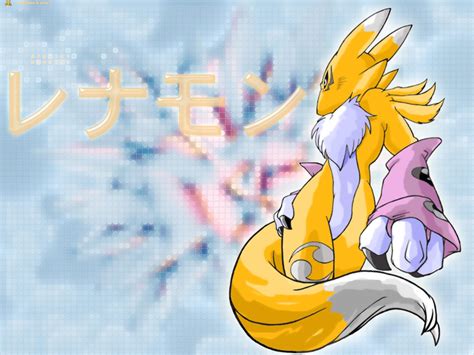 🔥 [50+] Renamon Wallpapers | WallpaperSafari