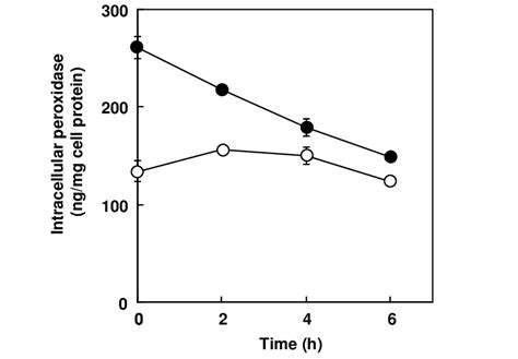 Effects of cycloheximide on peroxidase accumulation. Rat1/tsLA29 cells... | Download Scientific ...