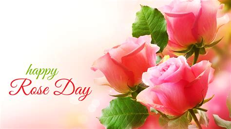 7th Feb Rose Day Wallpaper HD | All Color of Roses for Lover & Friends