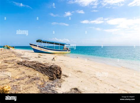 Starfish Beach panama Stock Photo - Alamy