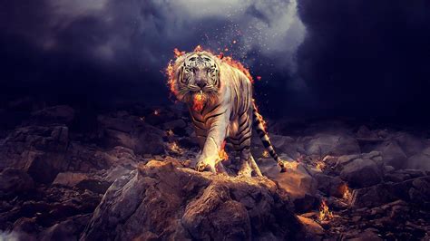 Flaming Tiger Wallpapers - Top Free Flaming Tiger Backgrounds - WallpaperAccess