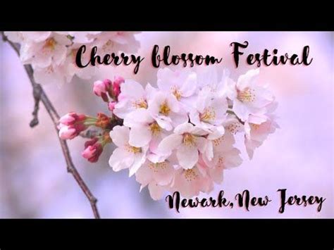 Cherry Blossom Festival 2022 | Branch Brook Park | Newark - New Jersey ...