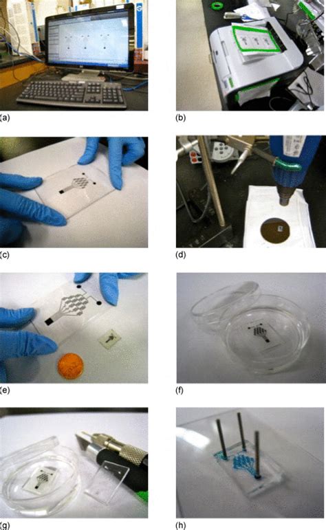 Fabrication process of printed microfluidics. In this process, an array... | Download Scientific ...