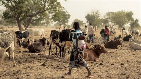 Poverty Eradication in Burkina Faso Through Farming - The Borgen Project