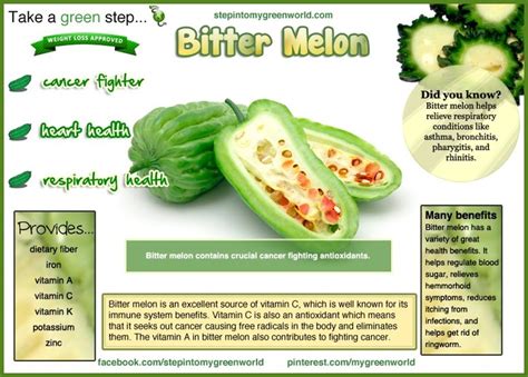 Bitter Melons | Bitter melon, Benefits of kombucha tea, Melon benefits