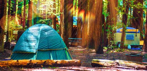 Where to Stay Near Redwood National Park