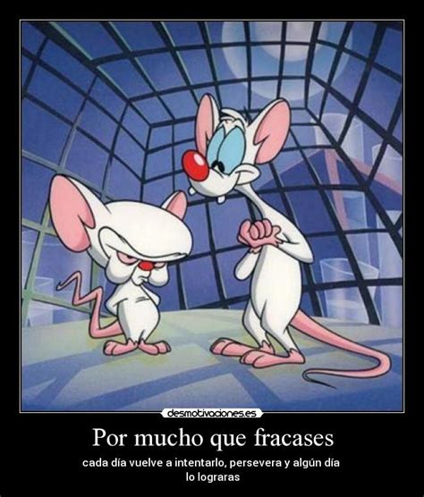 Pinky Y Cerebro Frases