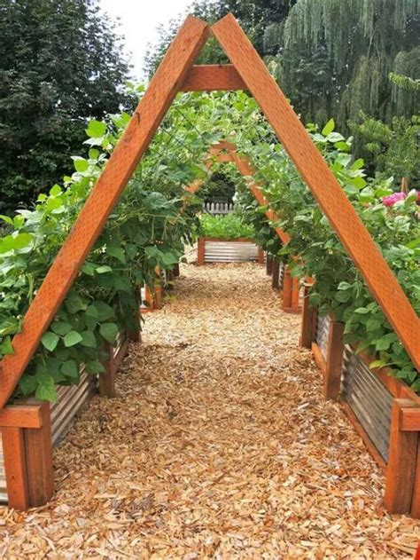 Edible Arch | Garden trellis, Urban garden, Garden planning