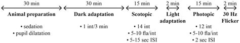 Summarized schematic procedure describing a typical electroretinography ...