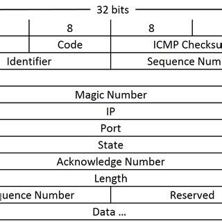 ICMP packet structure | Download Scientific Diagram