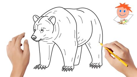 Grizzly Bear Drawing Step By Step