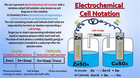 Galvanic Cell Labeled