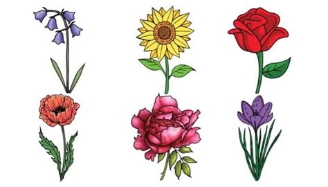 Flower Clipart Drawing Flower Dibujo Flores De Primavera - Clip - Clip Art Library