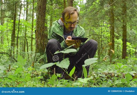 The Ecologist in a Forest with Smart Phone Stock Photo - Image of occupation, biogeographer ...