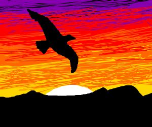 Bird silhouette in a sunset - Drawception